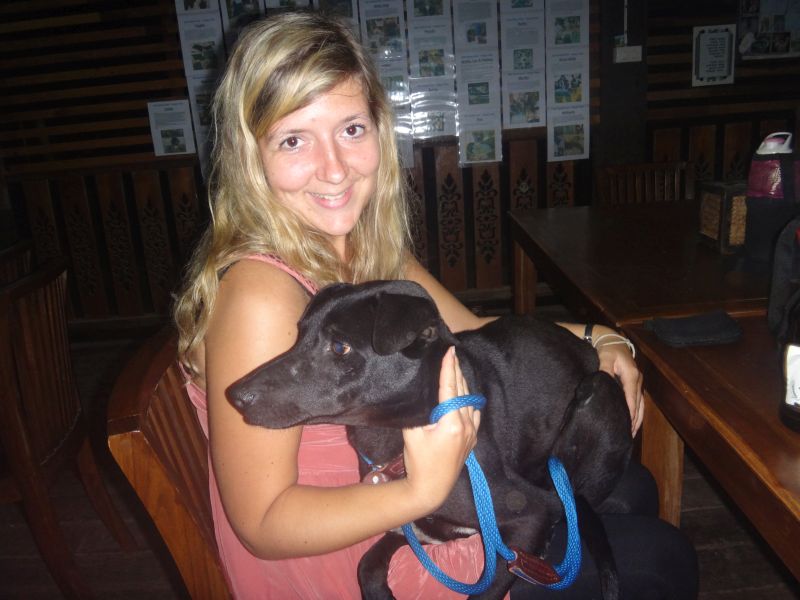 Der kleine Schoßhund Baby Jacky    